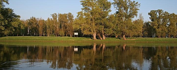 Gaestepension - Elsterland Am Sport- Und Freizeitpark Eksteriør bilde
